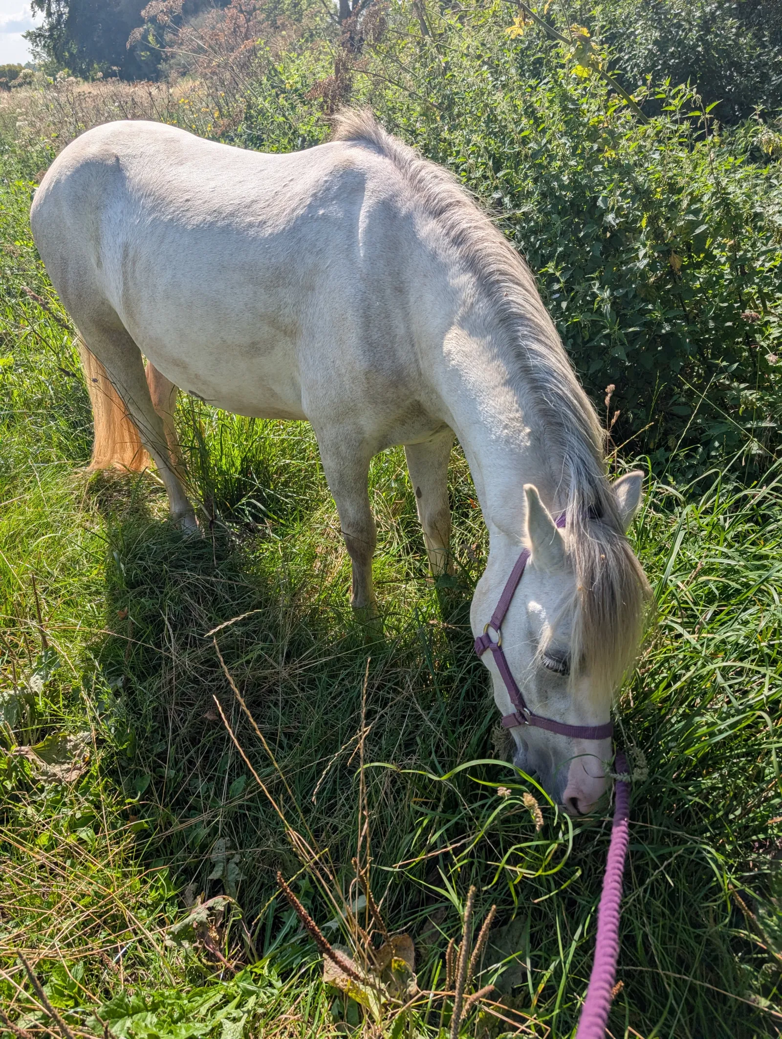 Minty — photo 4 of 4